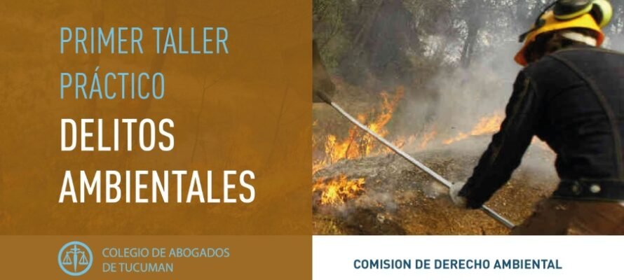 taller abogados